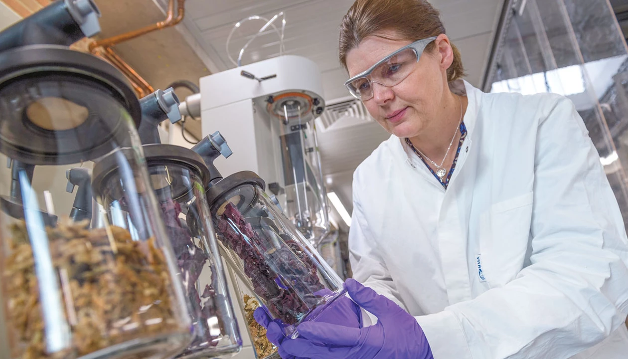 Seaweed processing research laboratory